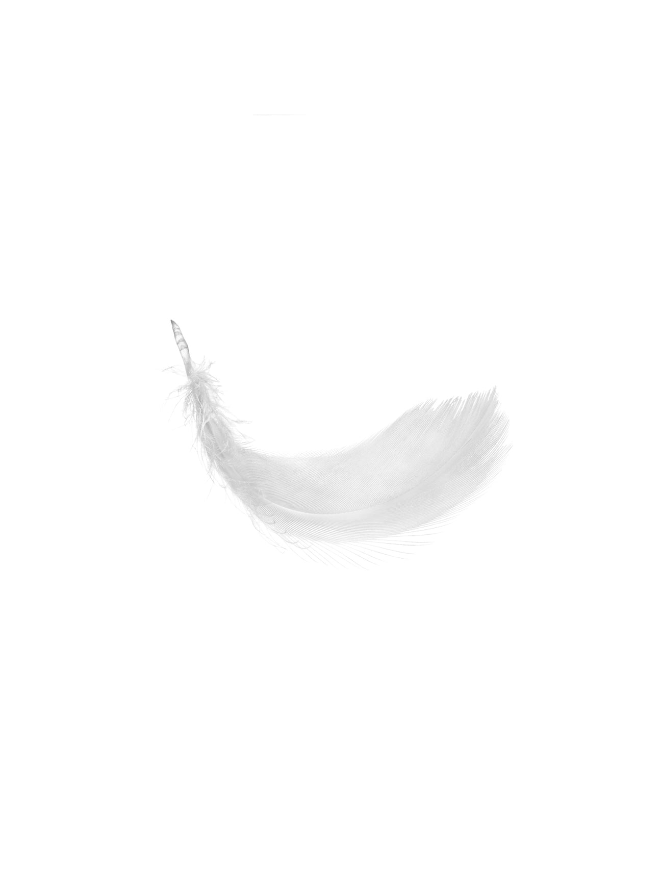 Sac de plumes pour l'oreiller Bia naturel - Dolce & Bianca 